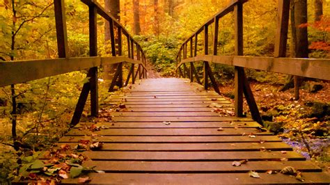 1920x1080 Wooden Bridge Forest Autumn Leaves Laptop Full Hd 1080p Hd