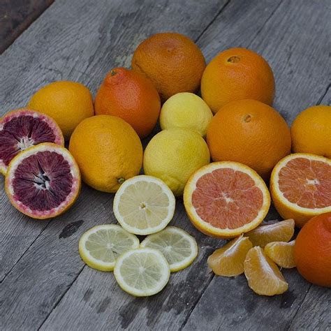 Organic Mixed Citrus Fruit Box - 5lbs by Frog Hollow Farm - Goldbelly