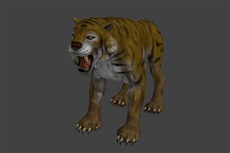 Play as saber tooth tiger in this sabertooth tiger revenge: 3D model Sabertooth Tiger VR / AR / low-poly OBJ FBX BLEND ...