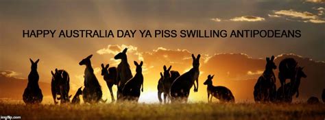 If you enjoyed this meme of the day please consider sharing it with your friends. Australia Day - Imgflip