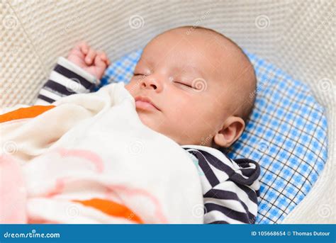 Eurasian Baby Sleeping Stock Photo Image Of Infant 105668654