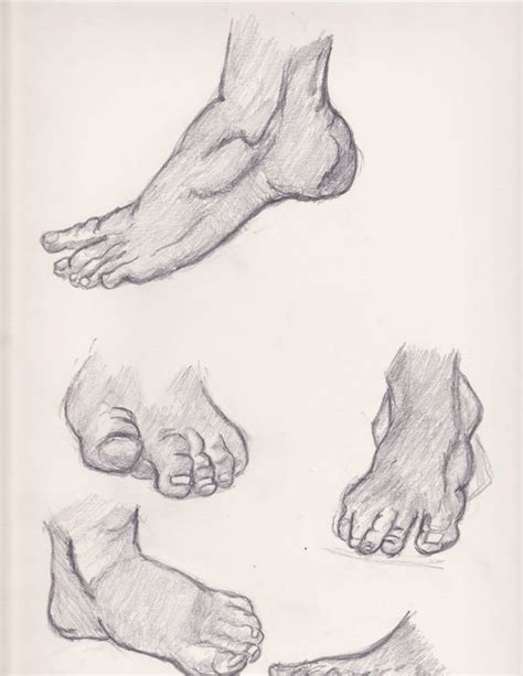 Feet Studies 2 By Ankhu On Deviantart