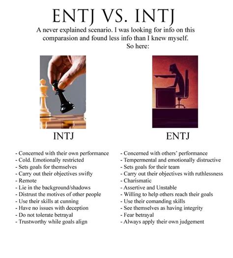 ENTJ Vs INTJ To Explain The Differences Between The Two Not Always