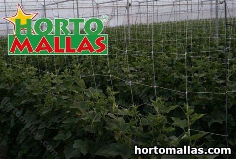 Hortomallas Trellis Net Hortomallas™ Supporting Your Crops®