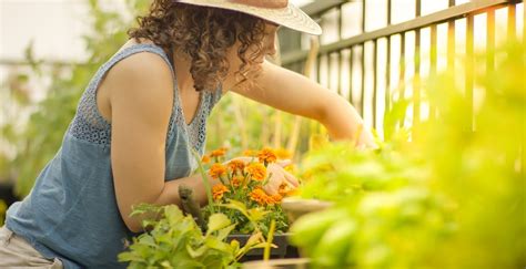 Best Benefit Of Gardeningimproving Mental Health Hope Grows