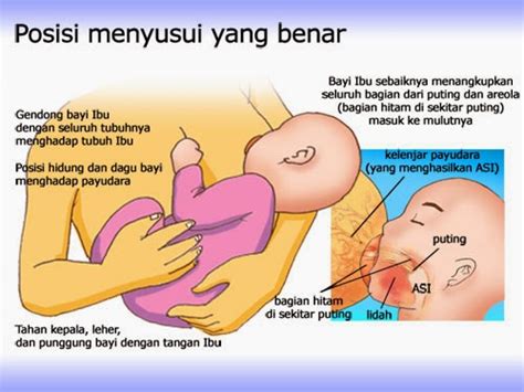 Posisi yang baik jika bayi anda kecil atau tidak sihat. {Info Sihat} Teknik Penyusuan Susu Ibu Yang Betul ...
