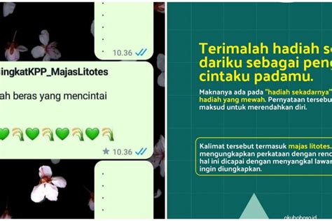 Contoh Majas Litotes Pengertian Dan Penjelasannya Vrogue Co