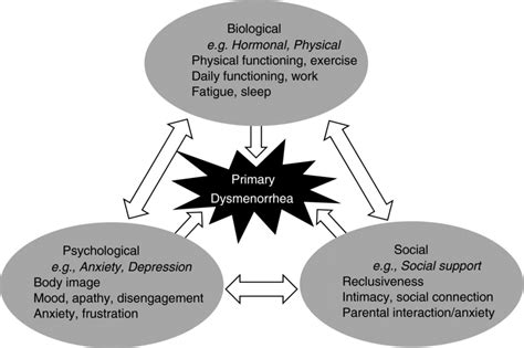Conceptual Framework Adapted From Biopsychosocial Model Of Healthy My XXX Hot Girl