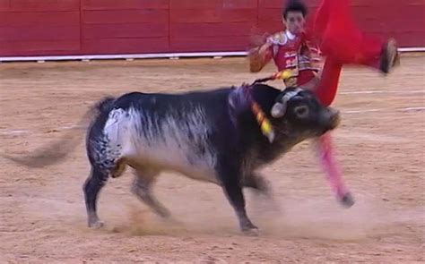 Professional Matador Gored By Bull On Live Television In Spain