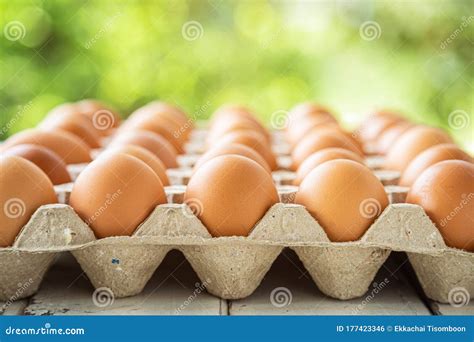 Side View Of Brown Chicken Eggs In An Open Egg Carton With Sunlight And