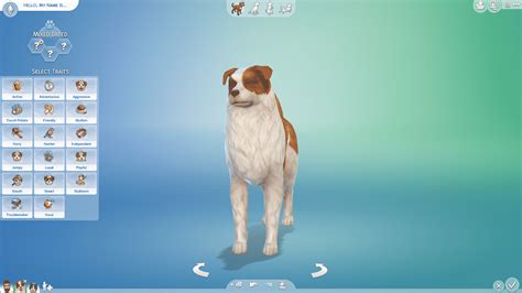The Sims 4 Cats And Dogs Create A Pet 101
