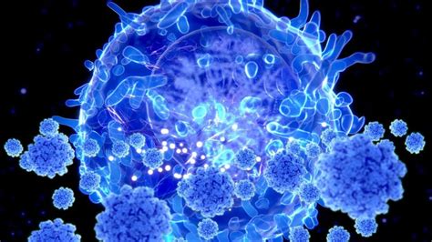 Coronavirus Immunity May Be More Widespread Than Tests Suggest Bbc News