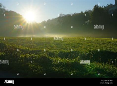 Sunrays Through Fog Over A Green Grass Field In Brittany France Stock
