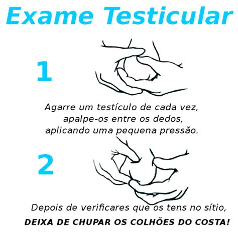 Como V O Os Seus Test Culos Esc Lios