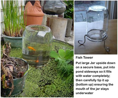 Works best in hot humid conditions. Fish Observation Tower An Easy DIY - Video Tutorial | Ponds backyard, Outdoor fish ponds, Small ...