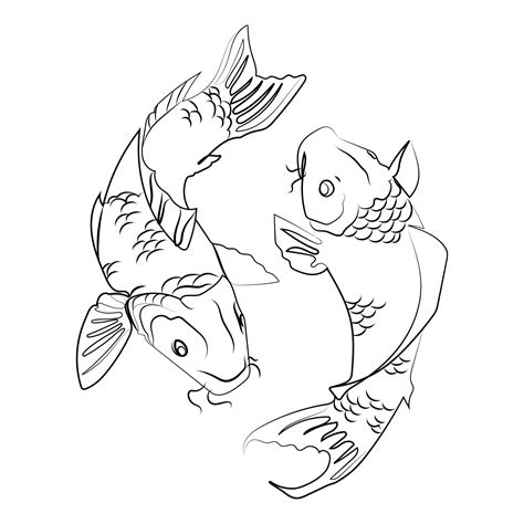 Two Koi Carps Vector Liner Illustrationjapanese Koi Fish Line Drawing