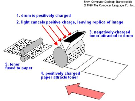 Electron How Do Laser Printers Produce The Positive And Negative