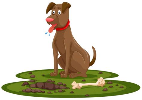 Best Dog Digging Illustrations Royalty Free Vector