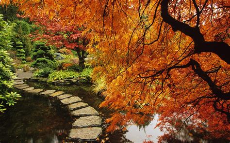 Download Stone Fall Tree Garden Path Man Made Japanese Garden Hd Wallpaper