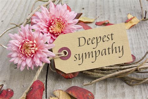 Isabella J Meyer Sympathy Card And Flowers Uk Sympathy Funeral