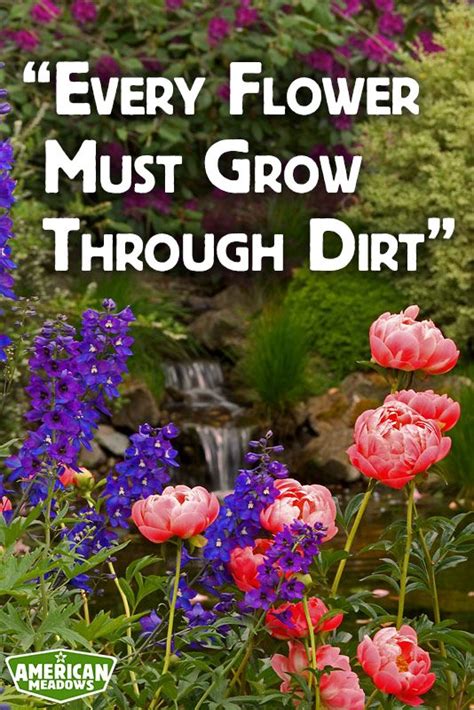 25 house diy decor ideas. "Every flower must grow through dirt." | Garden ...