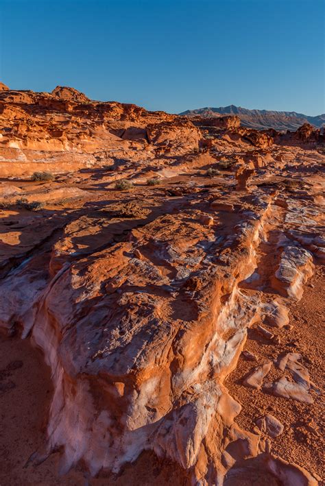 Little Finland Gold Butte National Monument Fred Holley Flickr