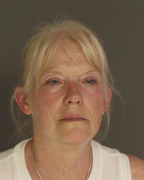 Dillsburg Woman Arrested For Theft And Possession Of A Controlled