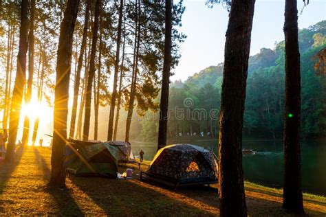 Pang Oung Lake And Pine Forest With Sunrise In Mae Hong Son Thailand