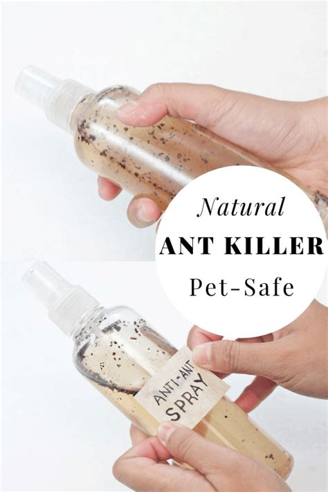 For many years, home plus has been providing safe and effective ant bait systems for the home. DIY Natural Ant Killer - Pet safe indoor homemade ant killer