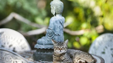 Dzsudzsák megérkezett debrecenbe és rögtön bemutatkozott egy tilosban való parkolással? HOROSZKÓP | nlc