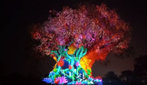 The Lion King Tree Of Life Awakening Debuts At Disneys Animal