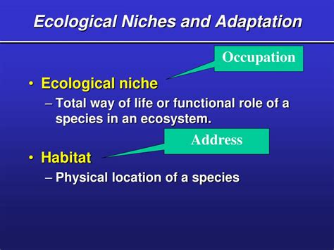 Ppt Ecological Niches And Adaptation Powerpoint Presentation Free