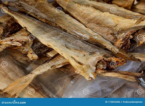Many Dried Fish Called Stockfish Stock Photo Image Of Sale Fish