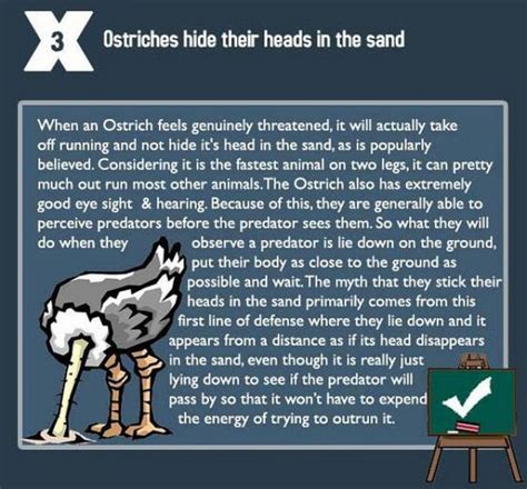 Chucks Fun Page 2 10 Popular Myths Debunked