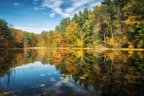Lake Forest Autumn Trees Reflection Wallpaper Coolwallpapersme