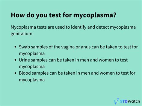 How Does A Mycoplasma Test Work