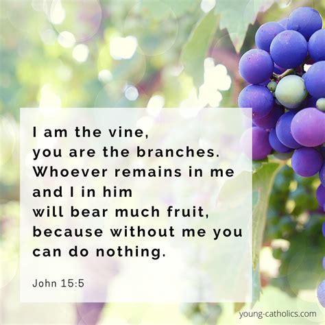 I Am The Vine You Are The Branches Young Catholics