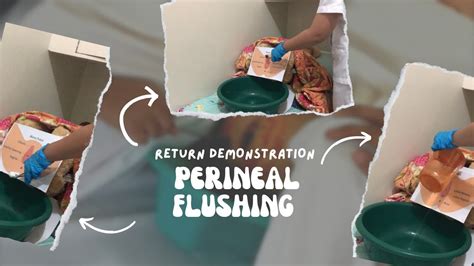 Perineal Flushing Return Demonstration Student Nurse Youtube
