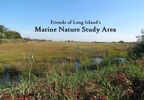 Petition · Preserve The Town Of Hempsteads Marine Nature Study Area