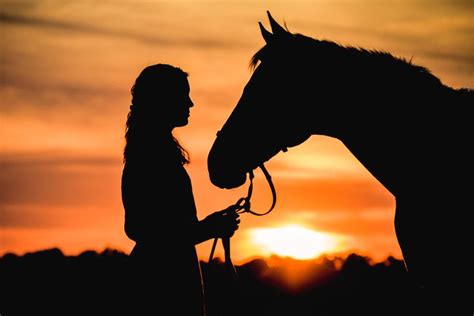 Sunset Silhouette Of Horse And Rider Purple Horse Designs Horse