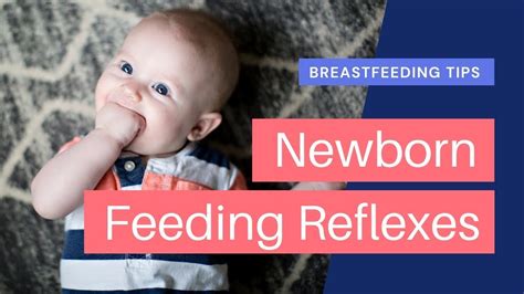 Breastfeeding Tips Newborn Feeding Reflexes Youtube