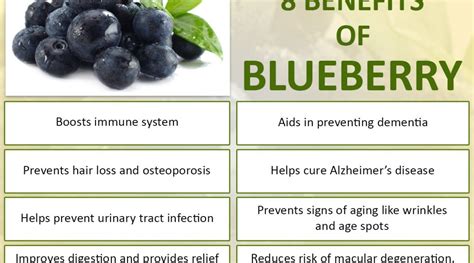 Health Benefits Of Blueberries Nikki Kuban Minton