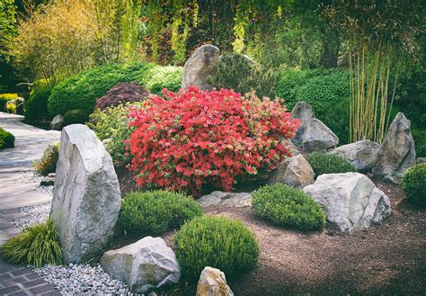 Most garden centres have a limited range of rock plants and alpines. Tips for Designing a Rock Garden | Hunker