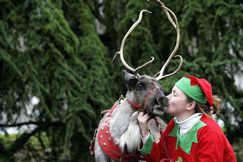 did you know santa s reindeer are being trained in oklahoma