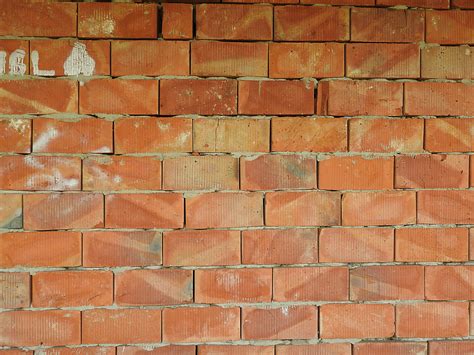 Free Images Structure Floor Tile Material Shell Brick Wall Art