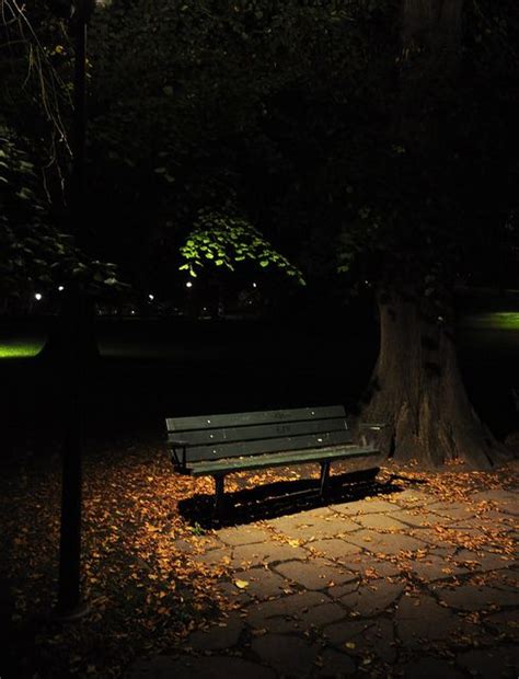 The Empty Park Bench Love Background Images Beautiful Nature Nature