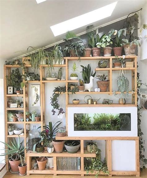 25 Creative Ways To Arrange Your Indoor Plant Shelf In 2021 Plants