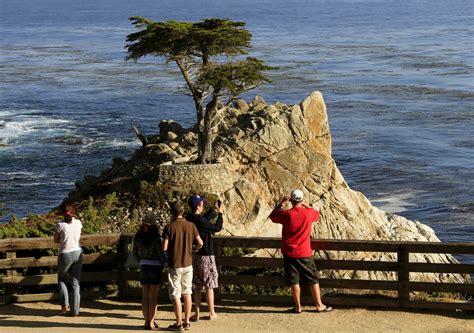 The Lone Cypress And 17 Mile Drive In Pebble Beach La Times