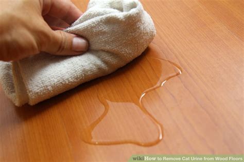 How To Remove Cat Urine From Wood Floors With Pictures Wikihow Life