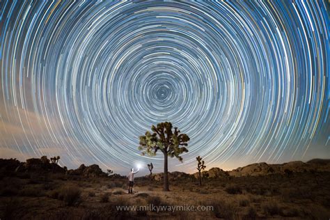Joshua Tree National Park Exploring Camping And Tips You Should Know